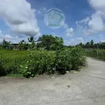Bán 3 nền đất 596m² Cà Mau, 620 triệu gần chợ Ngan Dừa - Ảnh thu nhỏ 1