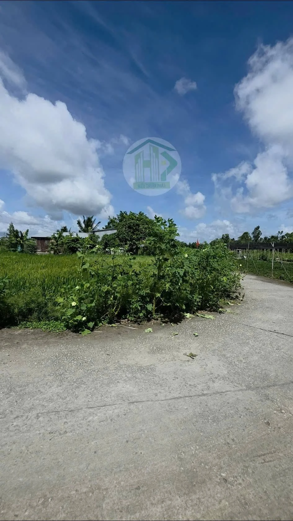 Bán 3 nền đất 596m² Cà Mau, 620 triệu gần chợ Ngan Dừa - Ảnh 1