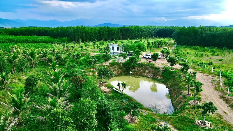 Bán đất nông nghiệp Diên Đồng 1,2ha – farmstay, trang trại 4 tỷ
