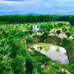 Bán đất nông nghiệp Diên Đồng 1,2ha – farmstay, trang trại 4 tỷ - Ảnh thu nhỏ 1