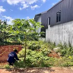Bán đất hẻm Tỉnh Lộ 8 154m² Bình Chánh - Ảnh thu nhỏ 2
