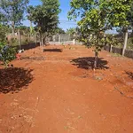Bán lô đất vườn 550m² Phường Tam Long 4 tỷ 180 triệu - Ảnh thu nhỏ 2