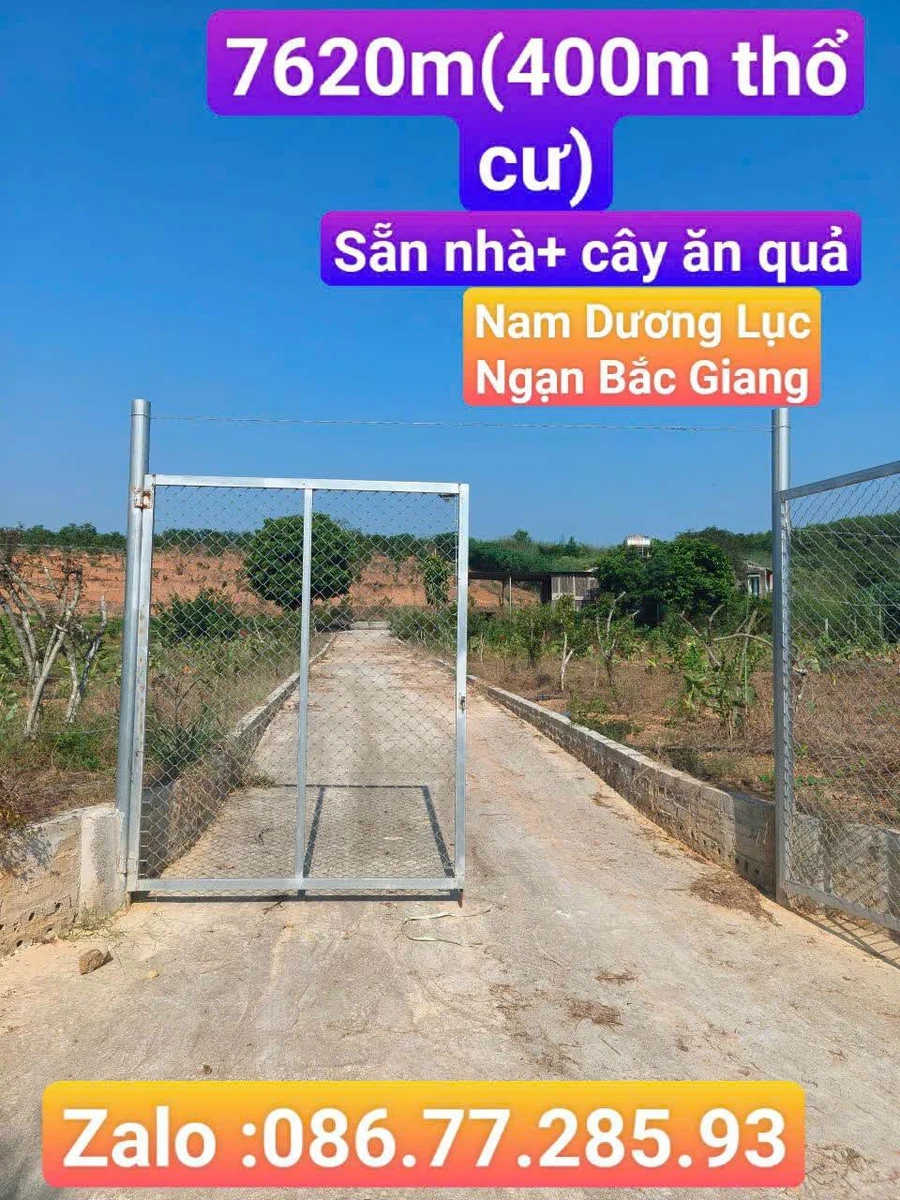 Bán đất 7620m² tại Nam Dương, Lục Ngạn, Bắc Giang - Ảnh thu nhỏ 2