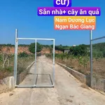 Bán đất 7620m² tại Nam Dương, Lục Ngạn, Bắc Giang - Ảnh thu nhỏ 2