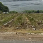 Bán đất mặt tiền 1.666m² Đường Tỉnh 785, Tây Ninh - Ảnh thu nhỏ 3