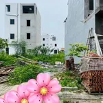 Bán lô đất 92.5m² tại TĐC Anh Dũng 5, Hải Phòng - Ảnh thu nhỏ 3