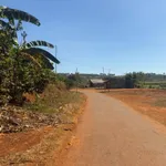 Bán đất nguyên lô Quang Tân Lâm Đồng 400m² - Ảnh thu nhỏ 2
