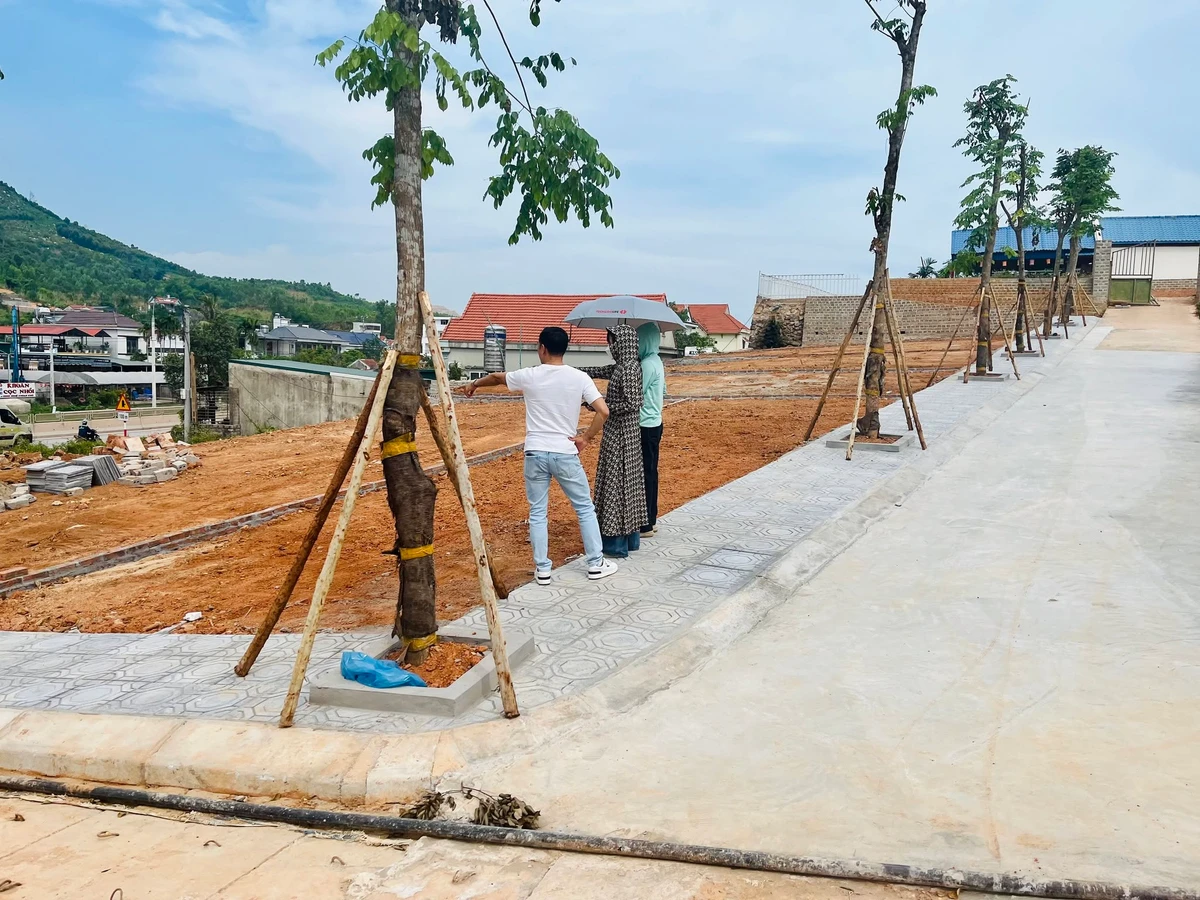 Bán đất nền 75m2 Đại Yên Hạ Long Xanh 2,6 tỷ - Ảnh thu nhỏ 4