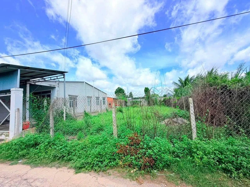 Bán đất 250m² gần siêu thị GO, Gò Dầu, Tây Ninh