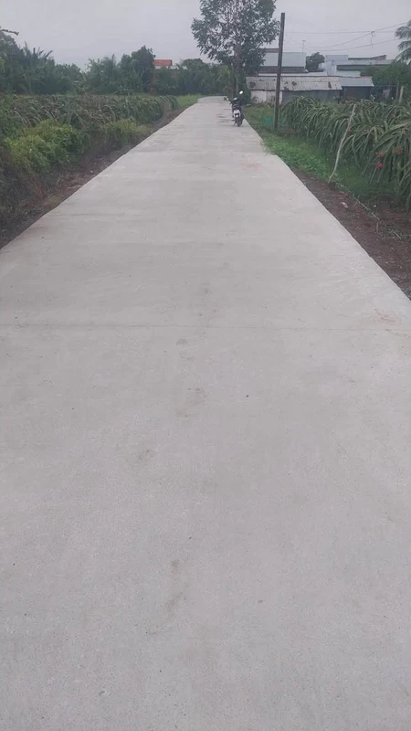 Bán gấp 1000m² đất lúa Thuận Mỹ, Châu Thành, Long An - 550 triệu