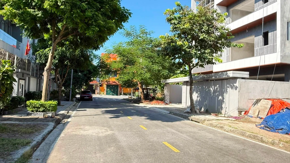 Bán đất nền 208 m² mặt tiền 13m Hải Phòng - Ảnh thu nhỏ 2