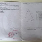 Văn Thủy 2 Cam An Khánh Hòa | hơn 5.000m2 | chỉ 150 triệu/sào - Ảnh thu nhỏ 13