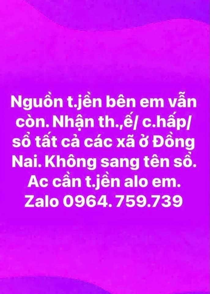 Bán lô đất đường nhựa chợ Hưng Lộc, 195m² sổ riêng Dầu Giây - Ảnh 1