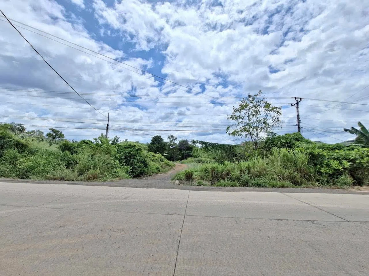 Bán đất mặt tiền KCN Hòa Phú 1.200m² giá 1,25 tỷ - Ảnh thu nhỏ 2