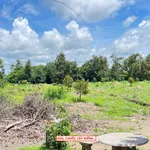 Bán đất vườn 13.372m² Hiệp Thạnh Tây Ninh 25 tỷ - Ảnh thu nhỏ 4