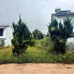 Bán đất 210m² mặt tiền 5m Lạc Bình, Đà Lạt 3.65 tỷ - Ảnh thu nhỏ 3