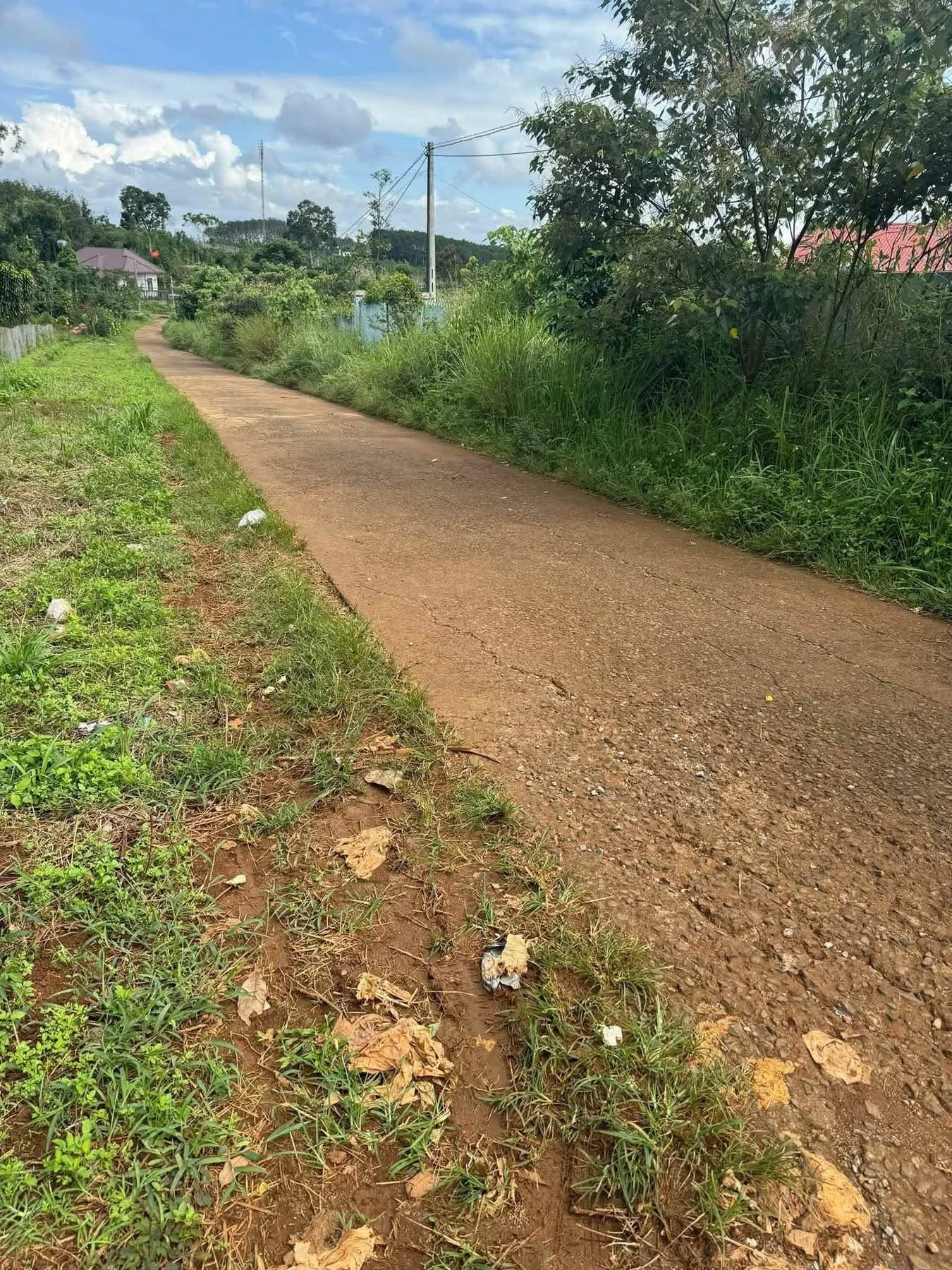 Bán đất vườn 1.4ha tại Thôn Quảng Thành, Đắk Nông - Ảnh 1