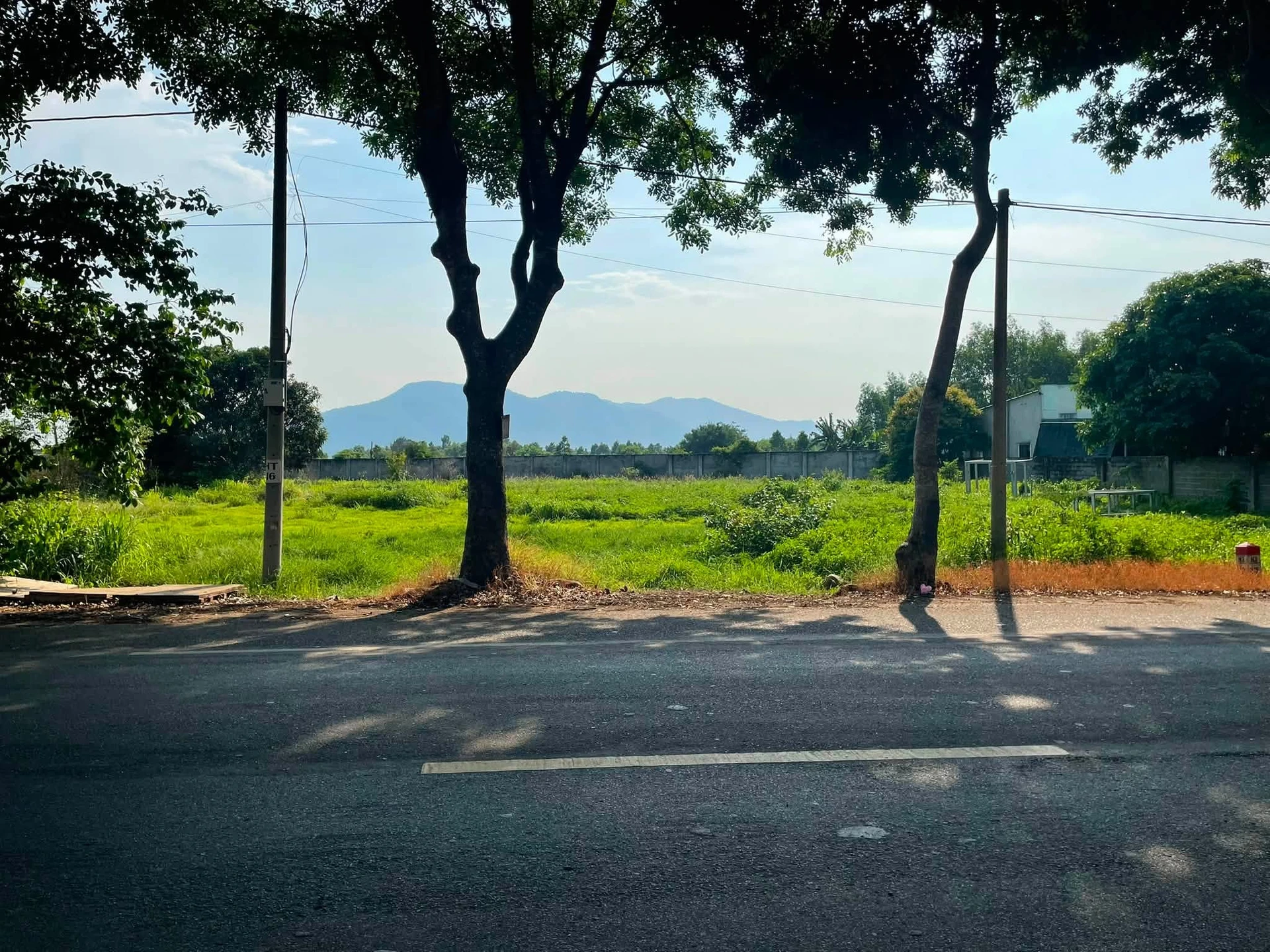 Bán 2 lô đất mặt tiền QL56, 2.395m² ở Bà Rịa Vũng Tàu - Ảnh 1