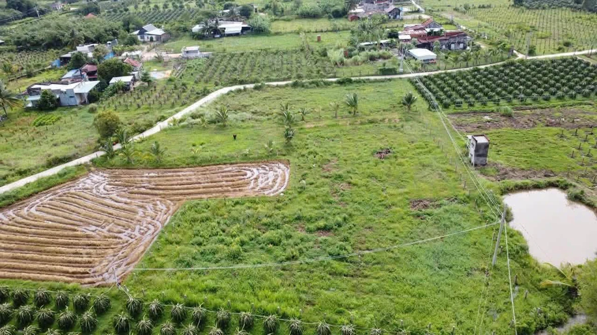 Bán lô đất 2.600m2 tại Hàm Liêm, Lâm Đồng - Ảnh 1