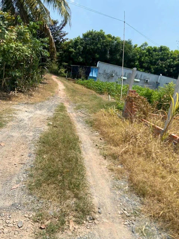 Bán đất 24x49.6m có 2 căn nhà cấp 4 ở Tây Ninh 399 triệu