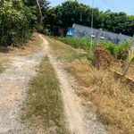 Bán đất 24x49.6m có 2 căn nhà cấp 4 ở Tây Ninh 399 triệu - Ảnh thu nhỏ 1