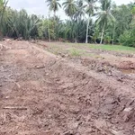 Bán nền đất 384m2 tại Xã Mỹ Thạnh An, Bến Tre - Ảnh thu nhỏ 3