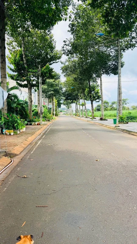 Bán nền có nhà 1PN, 115m2, khu tái định cư Long Khánh, 2.5 tỷ