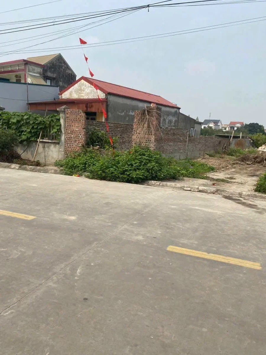 Bán đất full thổ cư 113m² Thôn Cáy Đoàn Thượng, 2 tỷ 1 - Ảnh thu nhỏ 3