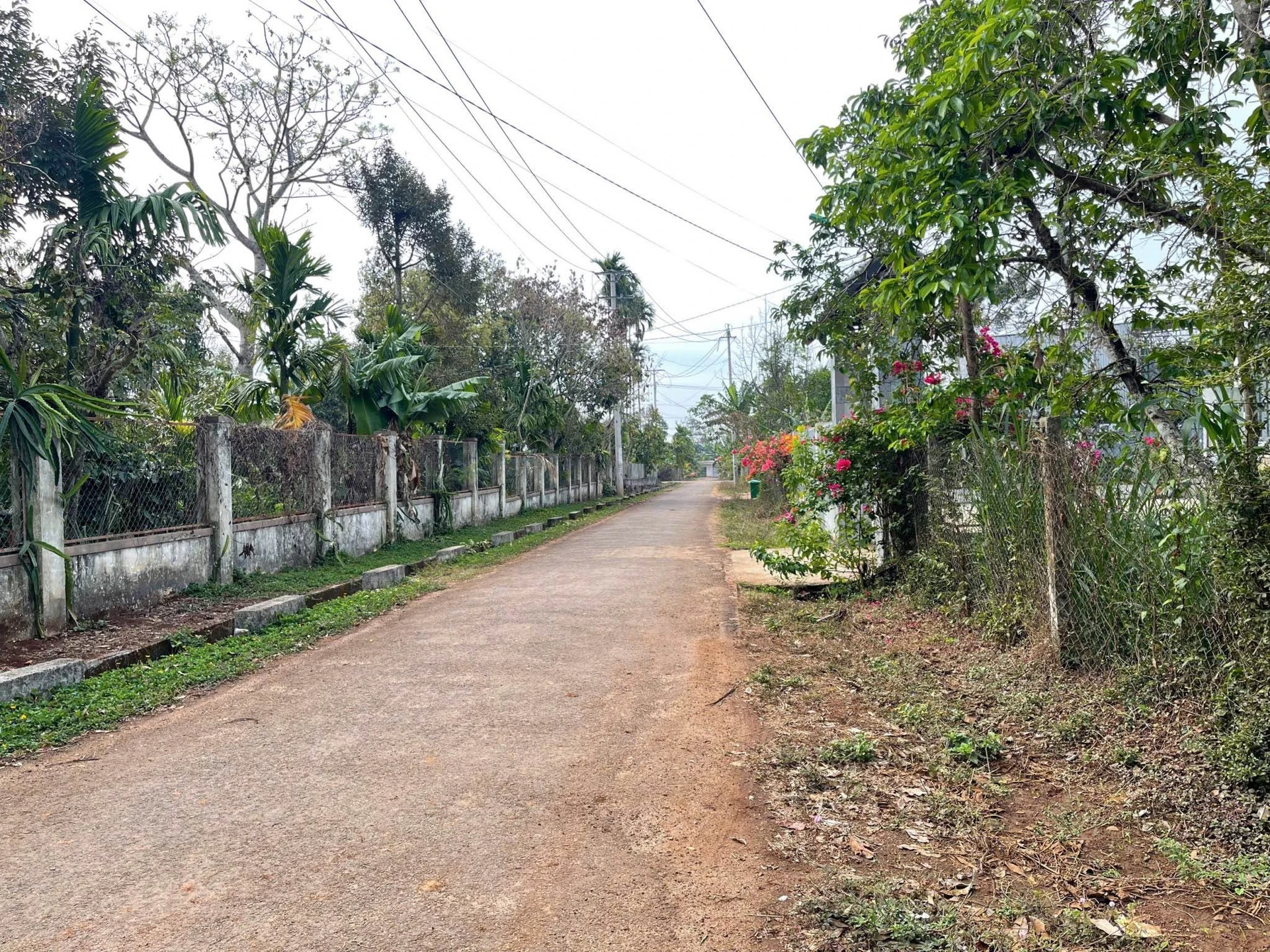 Bán đất hẻm cấp 1 Nguyễn Xuân Nguyên, Buôn Nao A, Phường Tân An, Buôn Ma Thuột, 2,4 tỷ - Ảnh 1