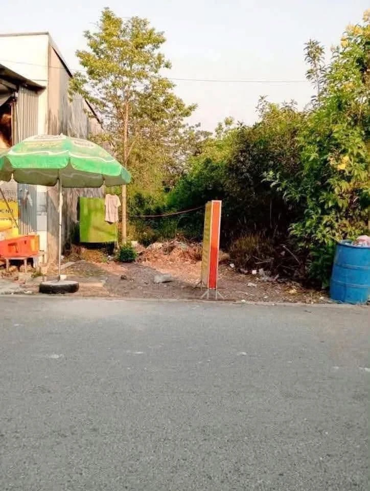 Bán lô đất 6x41 mặt tiền Bác Sĩ Trung, Phú An, Bình Chánh 2 tỷ - Ảnh thu nhỏ 3