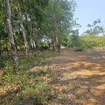 Bán đất 4800 m² Phường Đồng Phú, Đồng Nai - Ảnh thu nhỏ 3