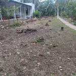 Bán nền đất mặt tiền An Bình Cần Giờ 658 m² - Ảnh thu nhỏ 3