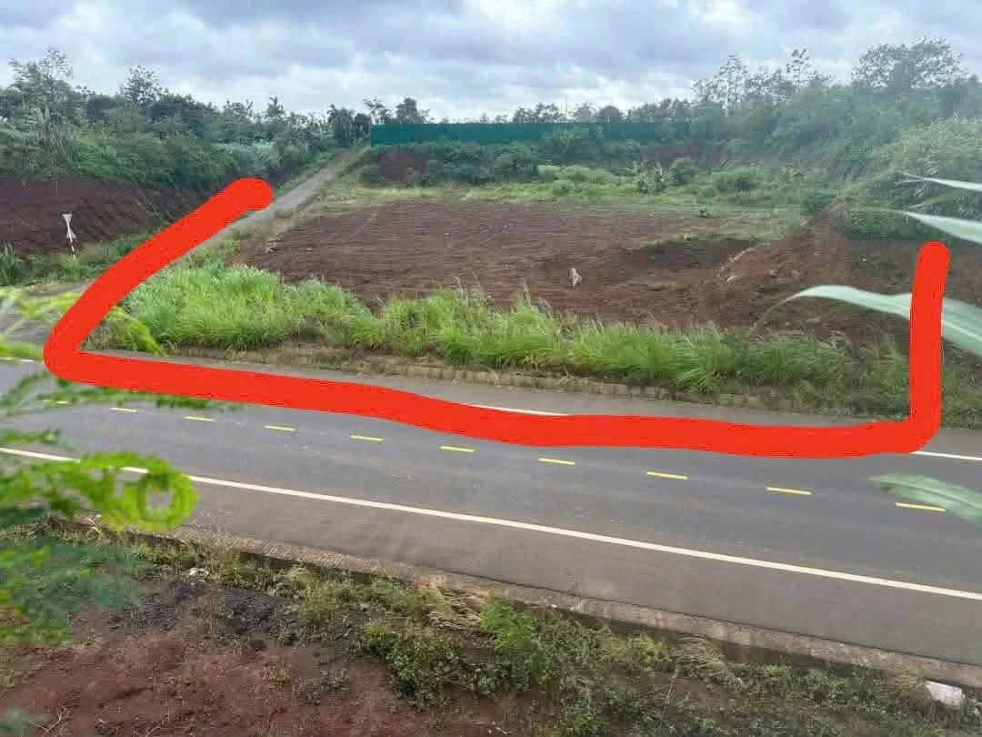 Bán đất 2 mặt tiền Tránh Đông 2,7 sào, 4,4 tỷ - Ảnh thu nhỏ 2