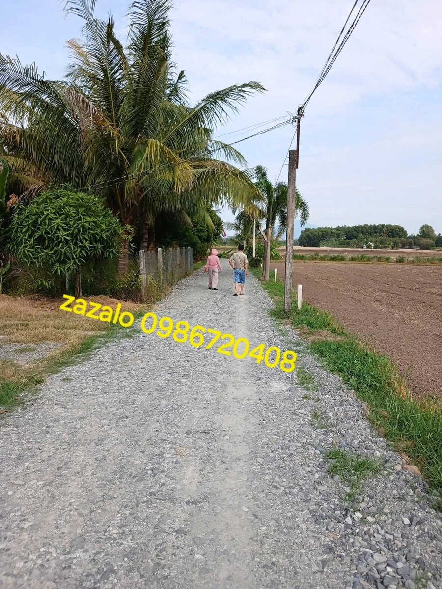Bán đất Châu Thành Tây Ninh 10×107m, 350 triệu - Ảnh thu nhỏ 2