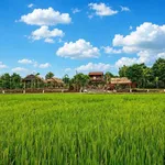 Bán nhà vườn 3400m² Hòa Phú Đắk Lắk 2,55 tỷ - Ảnh thu nhỏ 1