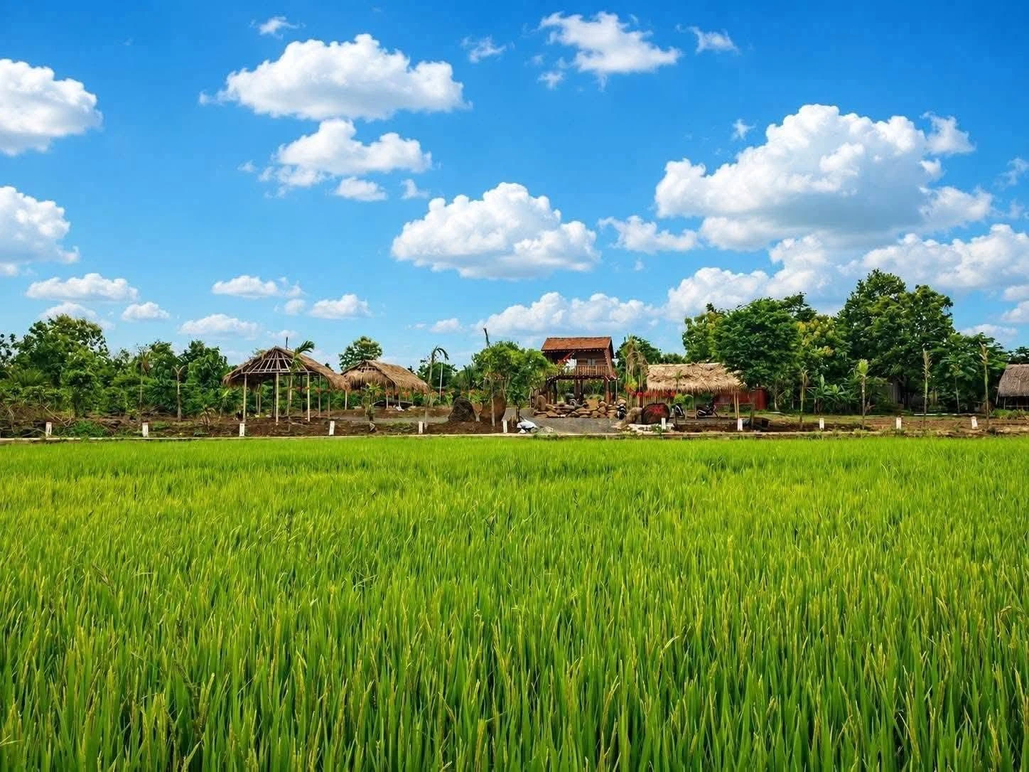 Bán nhà vườn 3400m² Hòa Phú Đắk Lắk 2,55 tỷ - Ảnh 1
