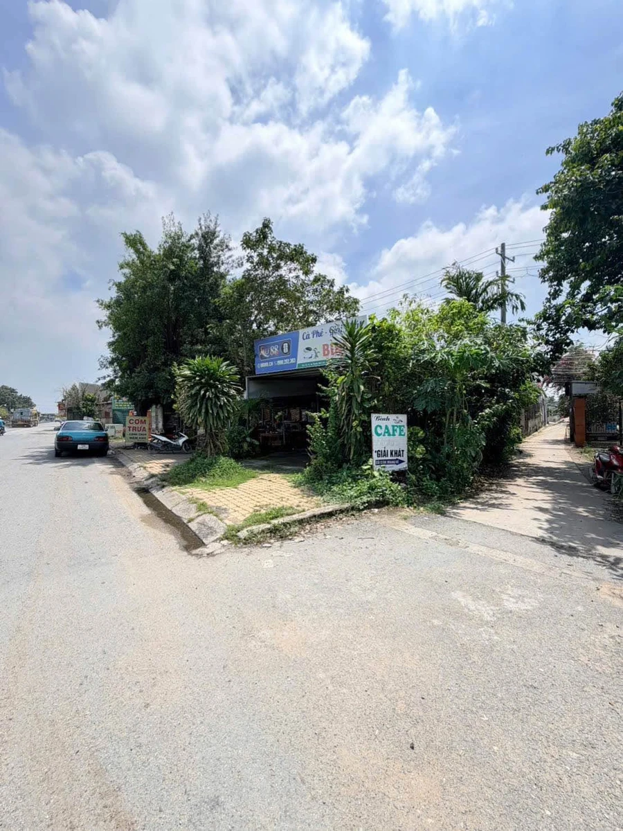 Bán nền đất thổ cư 100m² Bến Lức, Long An, 1 tỷ 200 triệu - Ảnh thu nhỏ 3