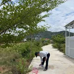 Ngộp ngân hàng cần bán 127m2, 100% thổ cư, giá 330 triệu trọn sổ, 0794 075 *** - Ảnh thu nhỏ 3