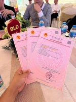 7tỷ view trường học giá cực rẻ thời điểm này, đón sóng Vinhome Yên Thường - Ảnh thu nhỏ 4
