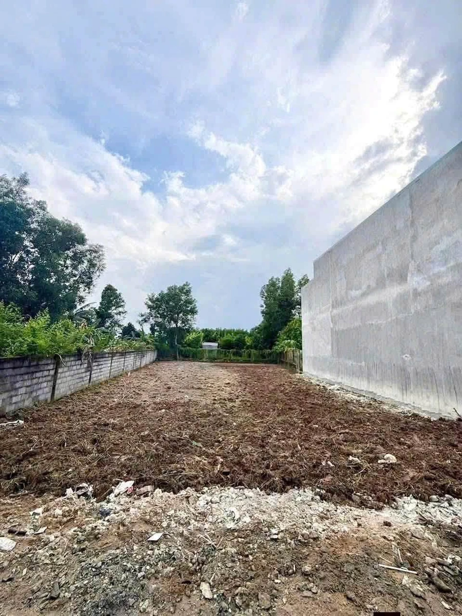 Bán lô đất vườn 600m² có 165m² thổ cư, sổ hồng riêng, khu Tân Triều - Ảnh thu nhỏ 2
