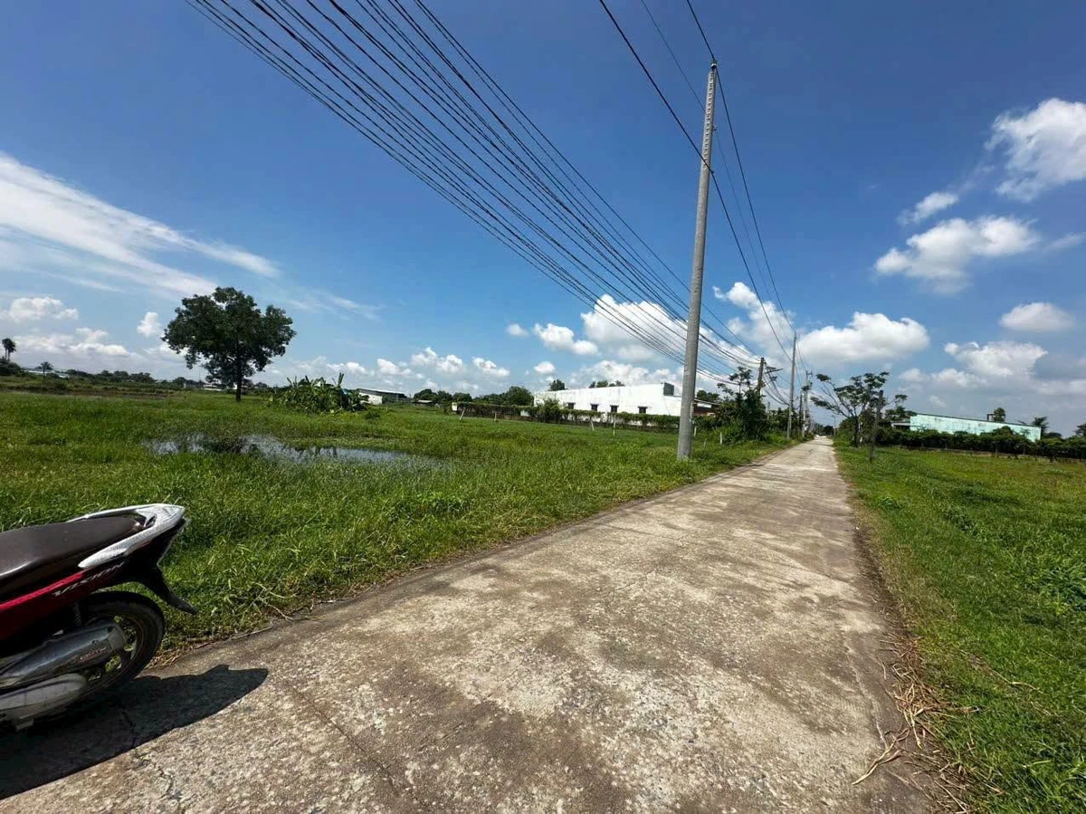 Bán lô đất mặt tiền 275 m² Đức Hoà, Long An - Ảnh thu nhỏ 3