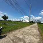 Bán lô đất mặt tiền 275 m² Đức Hoà, Long An - Ảnh thu nhỏ 3