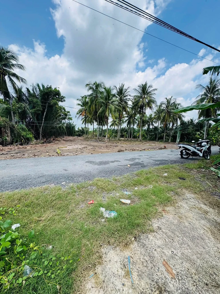 Bán đất vườn 2.924m² 2 mặt tiền Đồng Tháp - Ảnh thu nhỏ 3