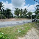 Bán đất vườn 2.924m² 2 mặt tiền Đồng Tháp - Ảnh thu nhỏ 3