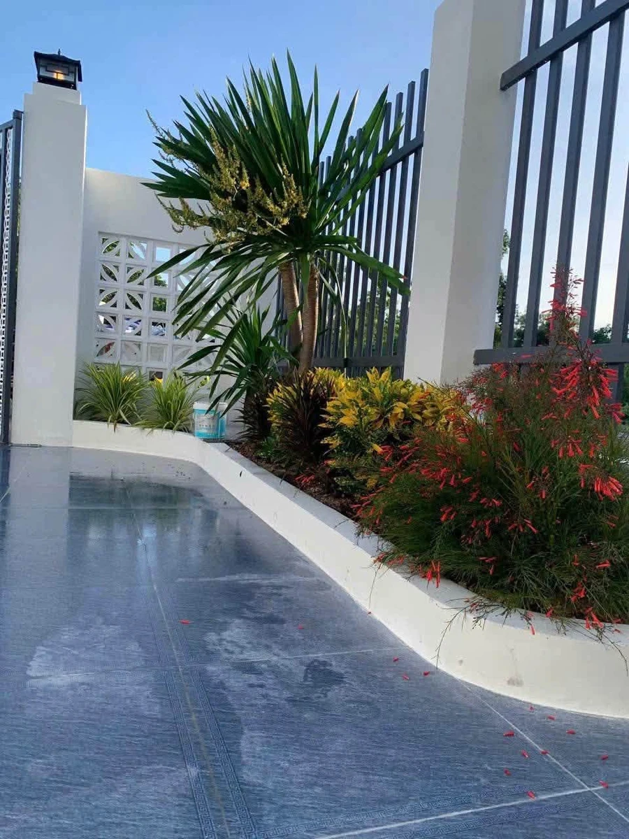 Bán nhà mới 3PN 140m² Tây Ninh - Ảnh thu nhỏ 4