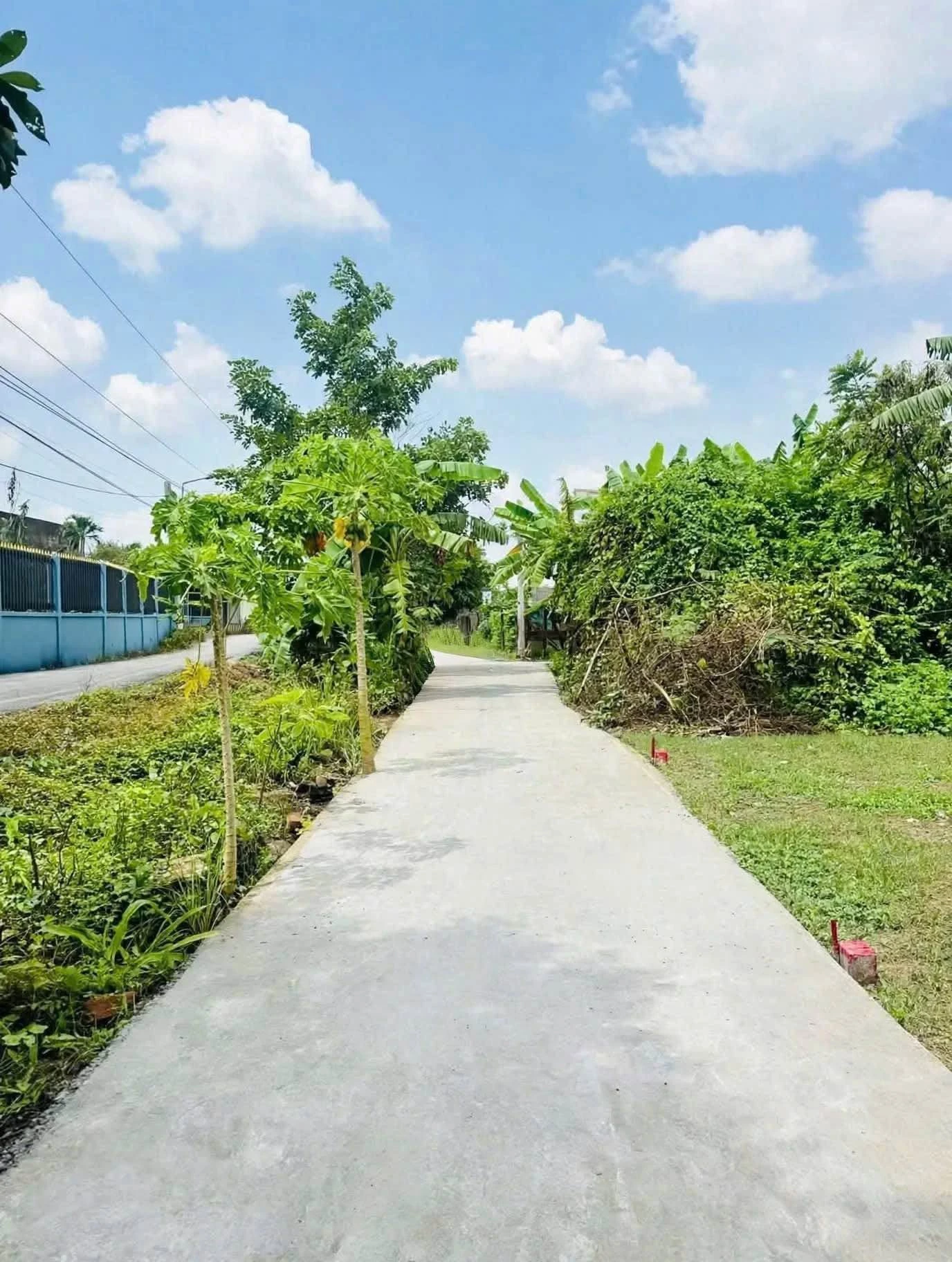 Bán nền đất 114m² mặt kênh Huỳnh Thị Luông Mỹ Lộc 750 triệu - Ảnh 1