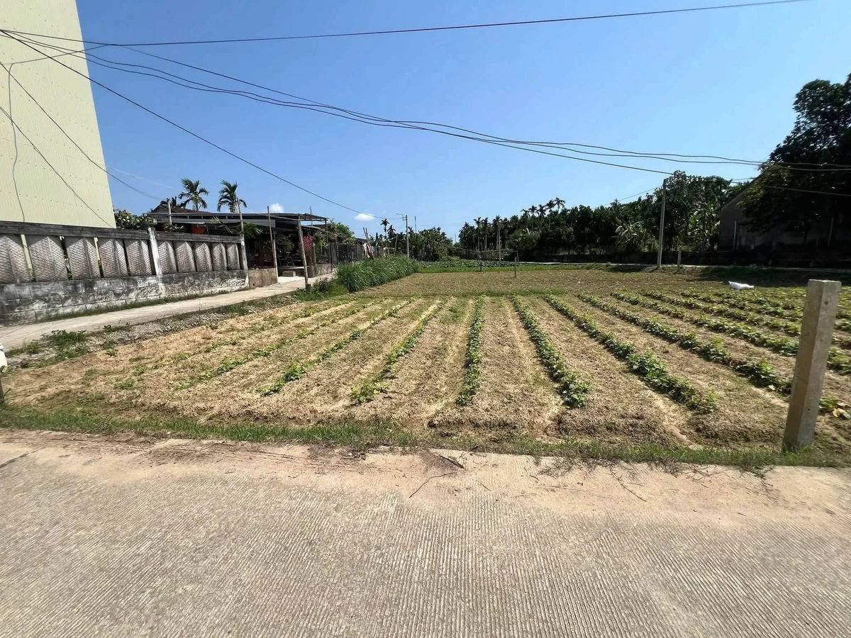 Bán đất nền 240m² Phường Trương Quang Trọng Thủ Đức - Ảnh thu nhỏ 3