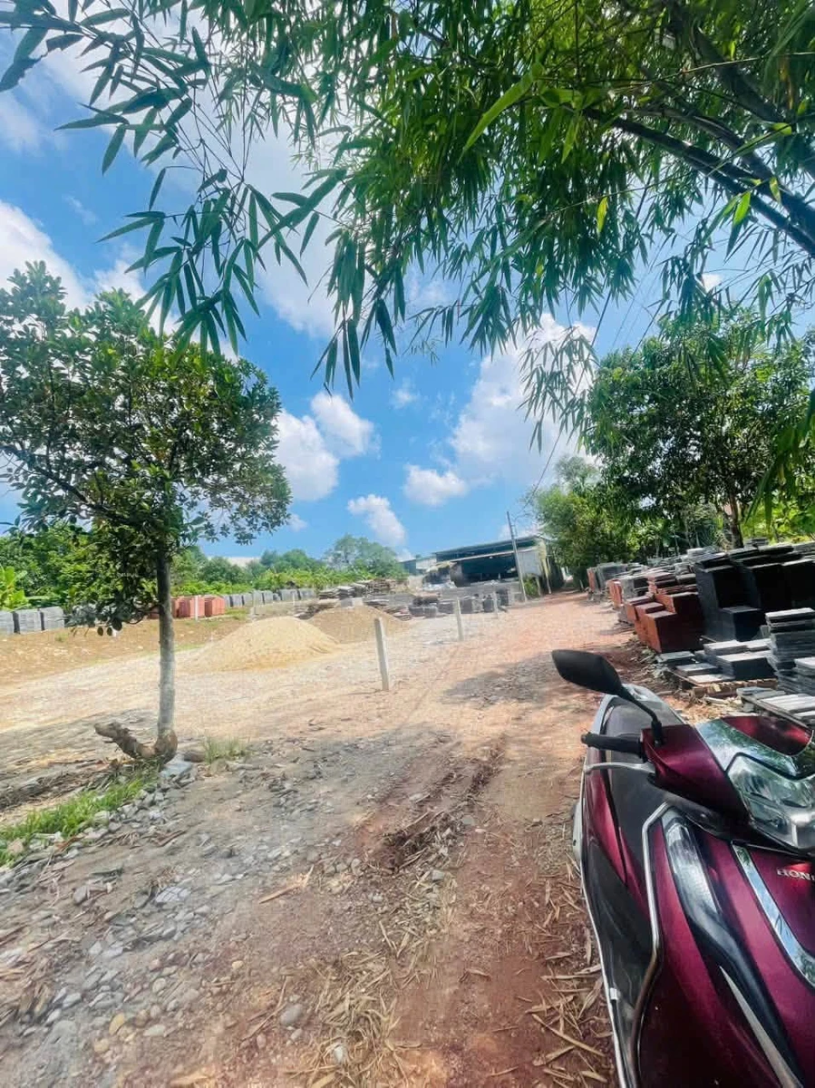 Bán đất Quận 7, 100m2, ngang 6m, 1 tỷ 4 triệu - Ảnh thu nhỏ 5