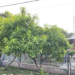 Chỉ 3 tỷ - 700m2 đất Quốc Lộ 13 - Chơn Thành Bình Phước, gần Trạm thu Phí, 7x100m LH: 0934 081 *** - Ảnh thu nhỏ 2