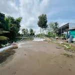 Bán đất trồng mít Thái 6835m² Đông Phước A Cần Thơ - Ảnh thu nhỏ 5